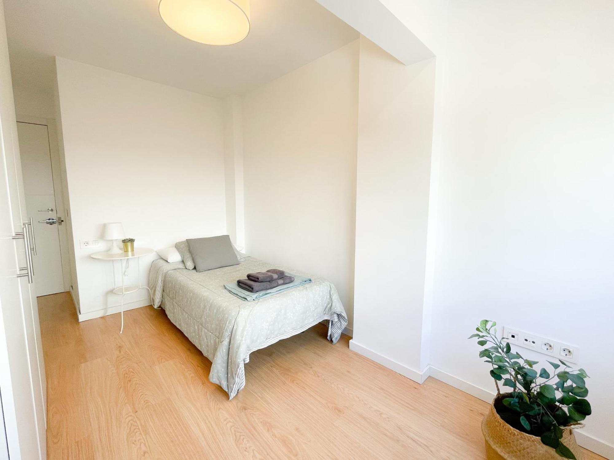 Moderno Apartamento Plz De La Merced Málaga Esterno foto